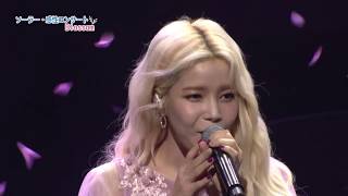 [Full] 마마무 (MAMAMOO) | 솔라 (Solar) - 180429 솔라감성 콘서트 Blossom Day 3