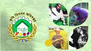 কৃষি বিপণন অধিদপ্তর-Department of Agricultural Marketing-DAM