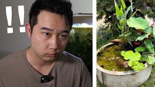 I found the CRAZIEST outdoor MINI Pond | Fish Tank Review 311