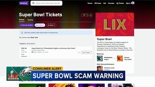 Heading to see the Eagles in the Super Bowl? Don't fall for travel scams