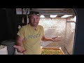 buildasoil direct sowing nightowl auto flower seeds in a 3x3 grassroots bed season 5 episode 5