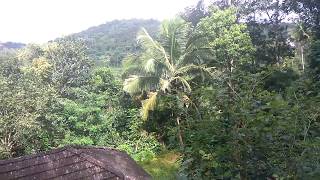 SOLD OUT - 2 acre land with small House @ 36 lakh in Valad .Wayanad