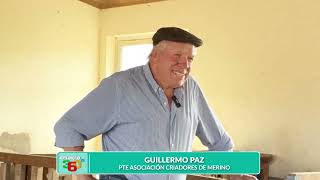 GUILLERMO PAZ – PTE ASOCIACIÓN CRIADORES DE MERINO   CUÁNTO CAMPO HAY EN TU SWEATER