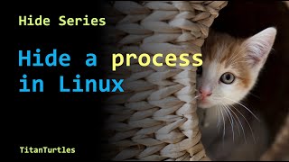 Hide Series: Hide Process in Linux