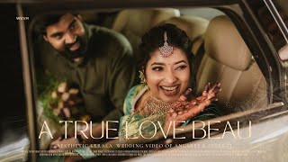 A True Love Beau | Aesthetic Kerala Wedding Video of Anusree & Sreeraj | Traditional Hindu Wedding