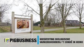 Huisvesting biologische varkenshouderij 't Condé in Heino