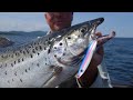 OUTDOOR PASSION, LAKE CHAMPLAIN MONSTER LANDLOCKED SALMON