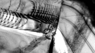 Dislocation emission from crack tip