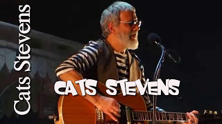 Cat stevens Greatest Hits Full Album Live 2017 - Best Of Cat Stevens Songs