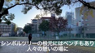 動画故障中【共研公園】てげてげ鹿児島案内（2020公園プレゼン）