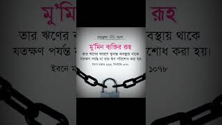 মুমিন ব্যাক্তির রুহ #মুমিন #রুহ  #theislamicmind #islaminbangla #momin