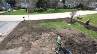 Reseeding the Lawn