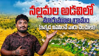 నల్లమల లో మారుమూల గ్రామం || నల్లమల అడవిలో చెంచుల జీవనశైలి || tribal lifestyle in Nallamala