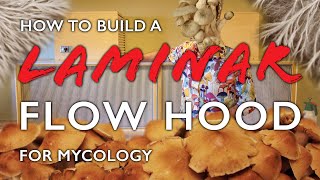 How to Build a Laminar Flow Hood: a DIY Mycology Deep-Dive