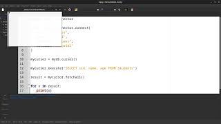 Python Database MySQL Select Statement