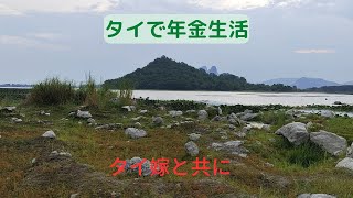 2023年5月24日(水)  舞台はタイの田舎町。犬がご飯を食べてる場面が多めの日常風景です。