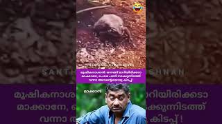 മൂഷികനാശാൻ: ഒന്നങ്ങ് മാറിയിരിക്കടാ മാക്കാനേ, പെരെ പണി നടക്കുന്നിടത്ത് വന്നാ അവൻ്റെയൊരു കിടപ്പ് ! 🤣🤣🤣