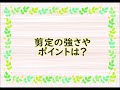 ヤツデ（八つ手）の性質・剪定・お手入れ　～手の平のような葉をつける木～　加須市・久喜市・幸手市の植木屋