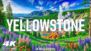 Yellowstone National Park 4K 🌋 Discover Geysers, Majestic Wildlife, and Untamed Wilderness - 4K UHD