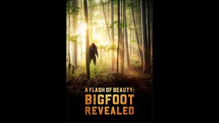 The Sol of The Unexplained: Film Review - A Flash of Beauty: Bigfoot Revealed (2022)
