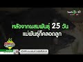 เกษตรทำเงิน เลี้ยงหนูพุกใหญ่ ขายในไทยและต่างประเทศ 29 10 65 ตะลอนข่าวสุดสัปดาห์