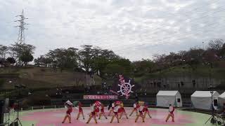 よう・そろー・YOSAKOI連・第一部@静峰八重桜まつり2019