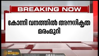 വീണ്ടും അനധികൃത മരംമുറി! പല മരങ്ങളും മുറിച്ച ശേഷം കത്തിച്ച നിലയില്‍ | Pathanamthitta