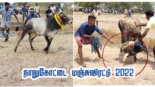 நாலுகோட்டை மஞ்சுவிரட்டு 2022... #PSTAMILANTN63