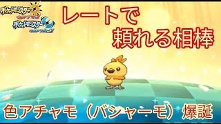 【ポケモンUSUM】色違いアチャモ爆誕！！