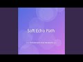 Soft Echo Path