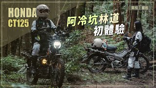 郭桑玩檔車：CT125大戰 _ 阿冷坑林道  #ct125 #林道 #越野