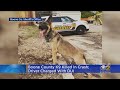 Boone County Police K9 Killed In Crash; Driver Charged With DUI