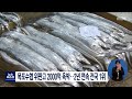 목포수협 위판고 2000억 육박..2년 연속 전국 1위 목포mbc 뉴스데스크