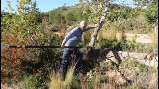 Vemos la higuera centenaria, y subimos al cerro mojon por 1ª vez después de la riada