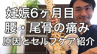 妊娠6ヶ月目の腰から尾骨にかけて痛みの原因と対処法とは？