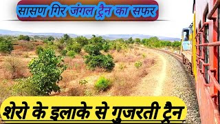 सासण गिर के जंगलो में से गुजरती एक मात्र ट्रैन || FULL JOURNEY JUNAGADH TO VERAVAL BY METER GAUGE