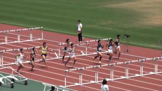 2013年 第2回学連競技会 男子110mH1組