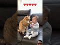 Smart cats look after babies ❤❤❤❤❤ #cat #cute #funny #smartcat