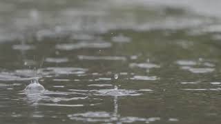 *夜の熱帯雨林公園を覆う激しい暴風雨と強力な雷の音で瞬時に眠る