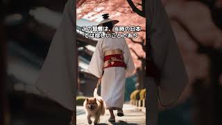 福澤諭吉と犬の散歩#shorts #雑学  #1分雑学