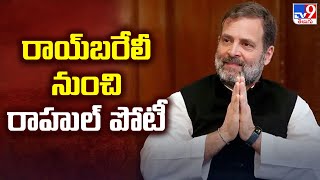 Rahul Gandhi to Contest From Raebareli : రాయ్‌బరేలీ నుంచి రాహుల్‌ పోటీ - TV9