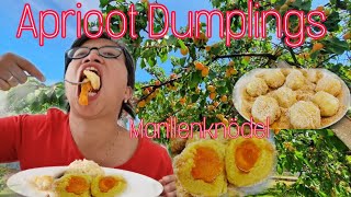 Apricot Dumplings | Typical Austrian Food | Cooking and Eating