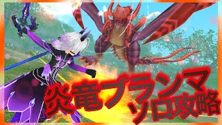 トーラム［炎竜ブランマ］ソロ攻略　Toram#254