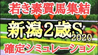 2020 新潟2歳ステークス シミュレーション（枠順確定後)～好素質馬が多数出走！好メンバーで勝つのはどの馬だ？～