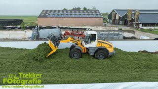 Gras hakselen 2024 | Chopping grass | Grassilage | Oudwoude | Liebherr | New Holland | Liebherr