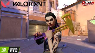 🔴 Sweaty Aim, Big Wins – Valorant Live!