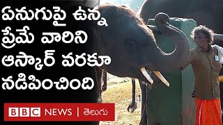 The Elephant Whisperers: ఆ గున్న ఏనుగు బతకడం కష్టమన్నారు. కానీ ఆయన వాత్సల్యం దానిని బతికించింది.