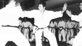The Source of Shotokan Karate