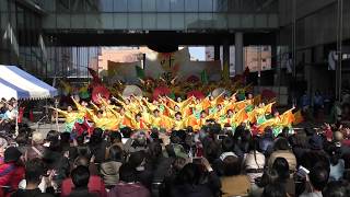 第１９回浜松がんこ祭　静岡大学よさこいサークルお茶ノ子祭々　演舞叶夢。ソラモ会場