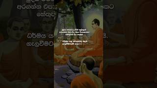 මහණෙනි මේ ධර්මය ප්‍රඥාවන්තයින් සඳහා පමණි.😇🙏 #life #budhism #motivation #buddha #buddhalife #love